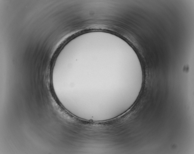 X0000113220984200910011341