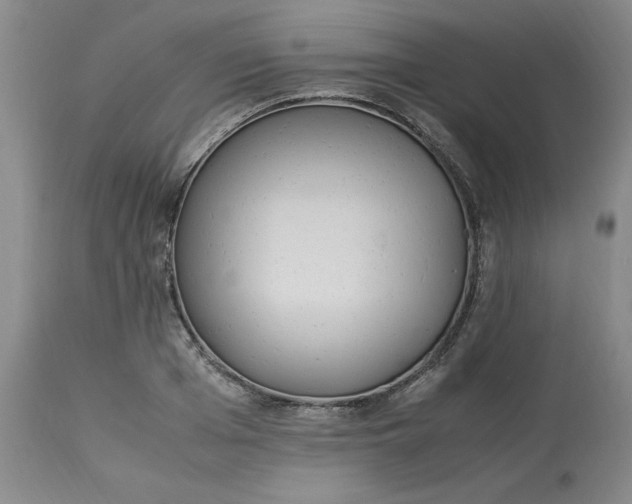 X0000113220985200910011340