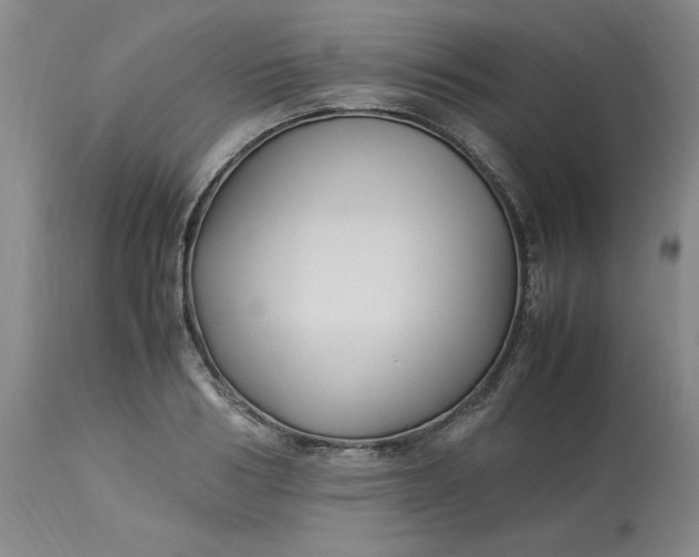 X0000113220986200910011340