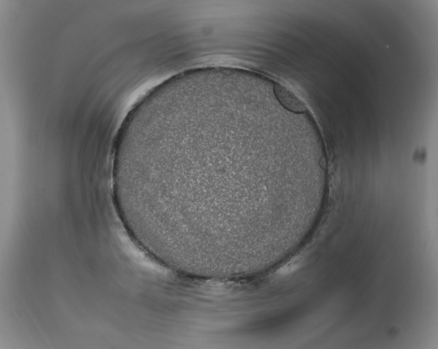 X0000113220987200910011340