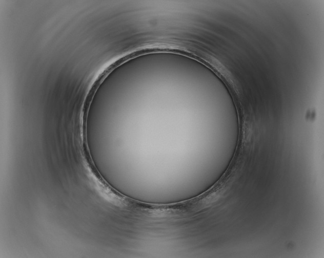 X0000113220988200910011340