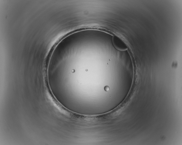 X0000113220989200910011340