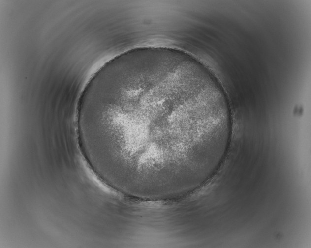 X0000113220990200910011340