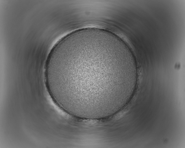 X0000113220991200910011340