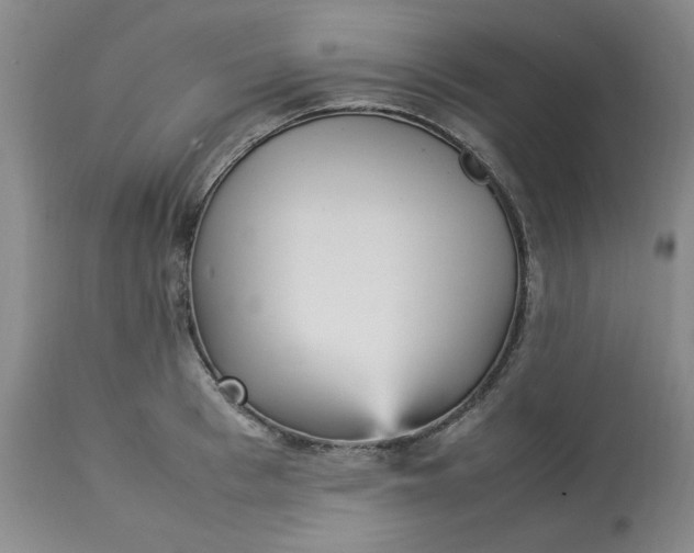 X0000113220993200910011340