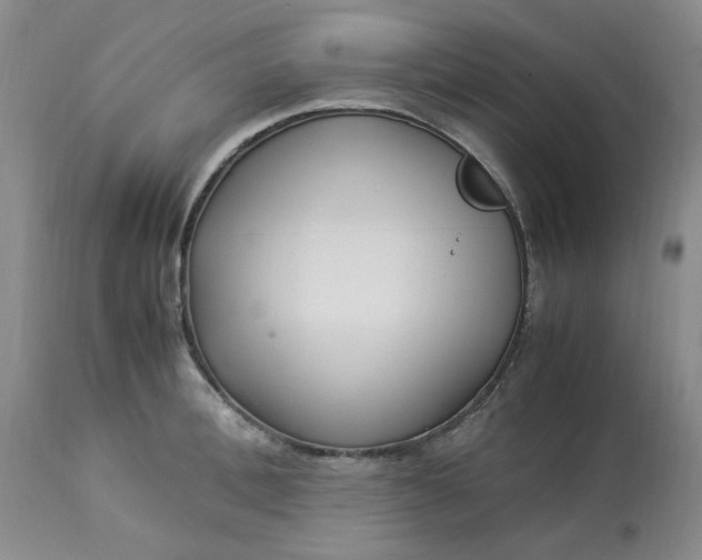 X0000113220996200910011340