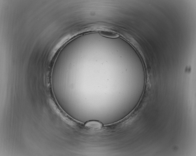 X0000113220997200910011340