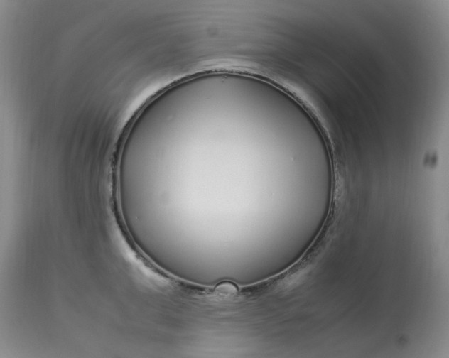 X0000113220999200910011340