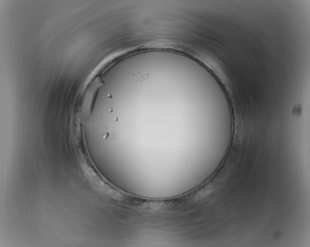 X0000113221000200910011340