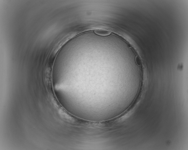 X0000113221001200910011340