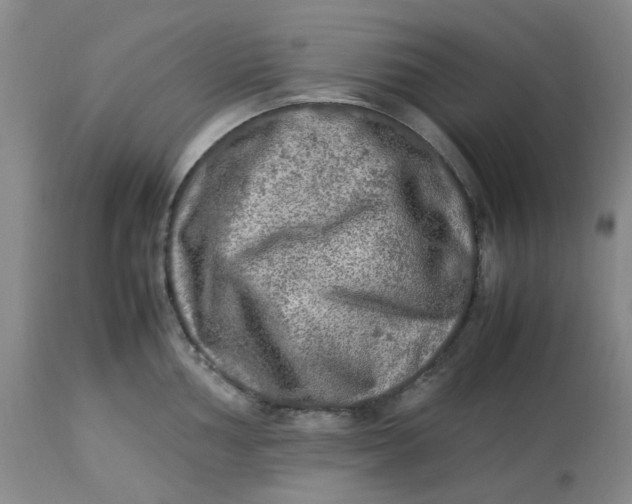 X0000113221002200910011340