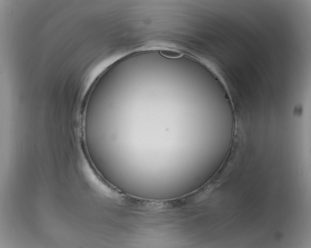 X0000113221003200910011340