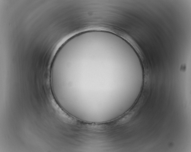 X0000113221004200910011340