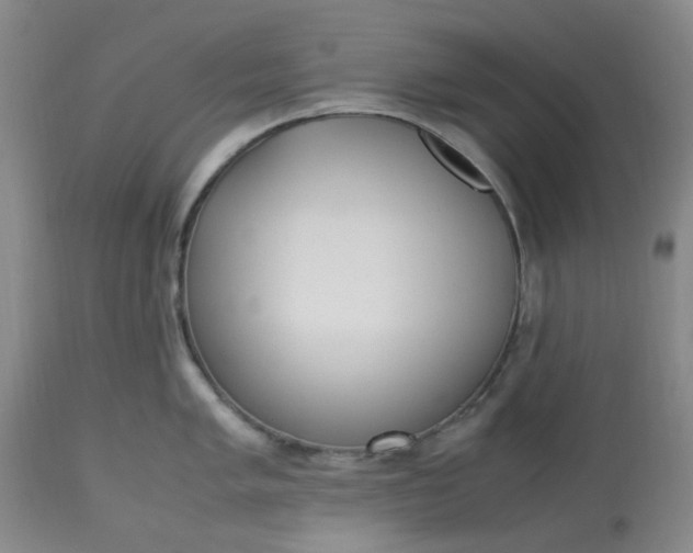 X0000113221005200910011340