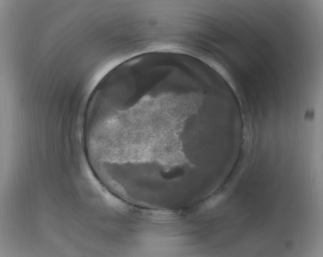 X0000113221007200910011340