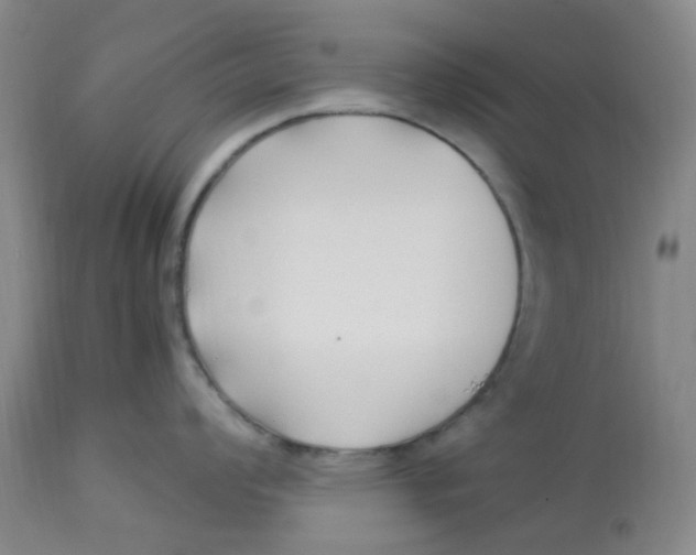 X0000113221008200910011340