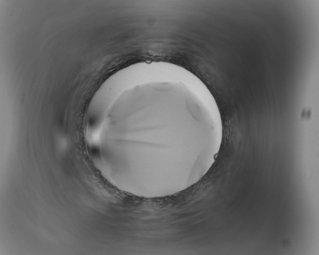 X0000113221009200910011339