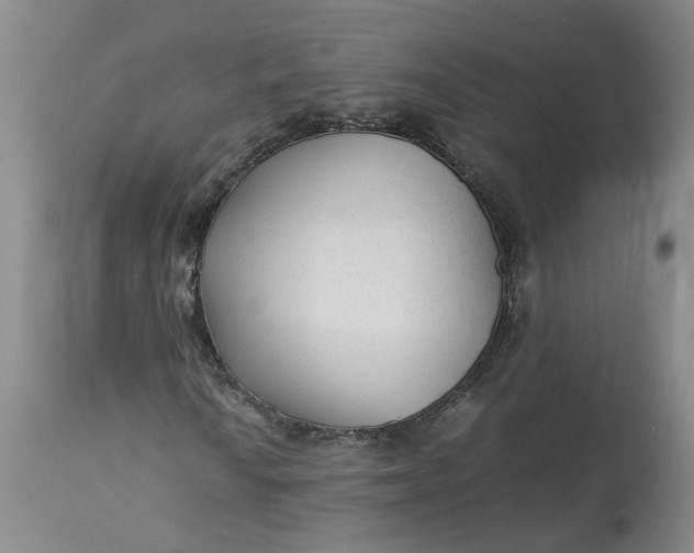 X0000113221010200910011339