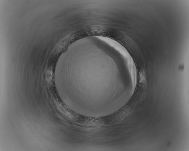 X0000113221011200910011339