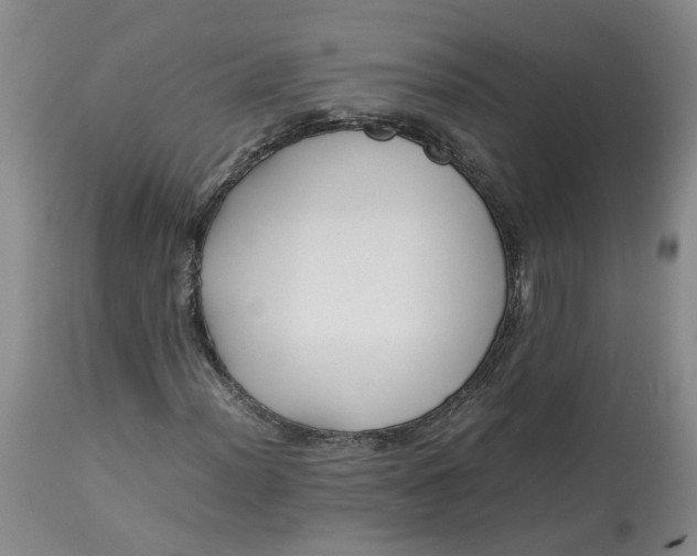 X0000113221012200910011339