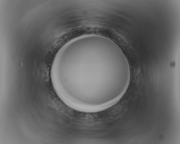 X0000113221013200910011339