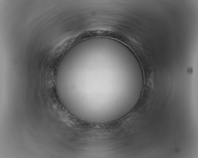 X0000113221014200910011339