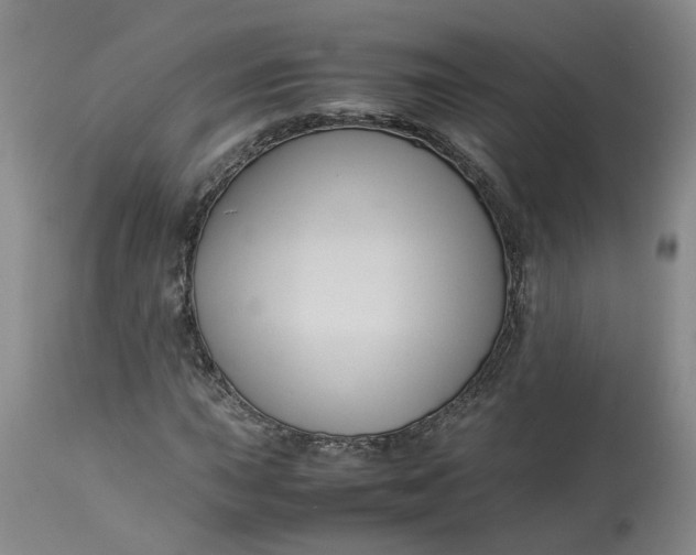 X0000113221015200910011339