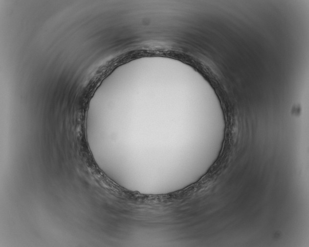 X0000113221016200910011339