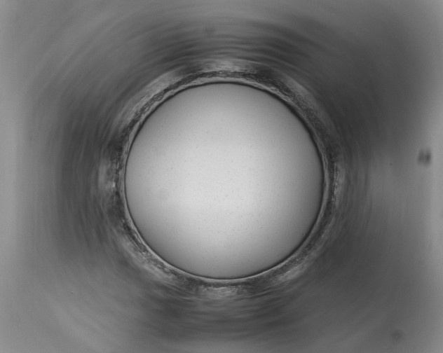 X0000113221017200910011339