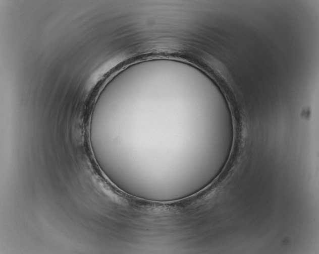 X0000113221018200910011339