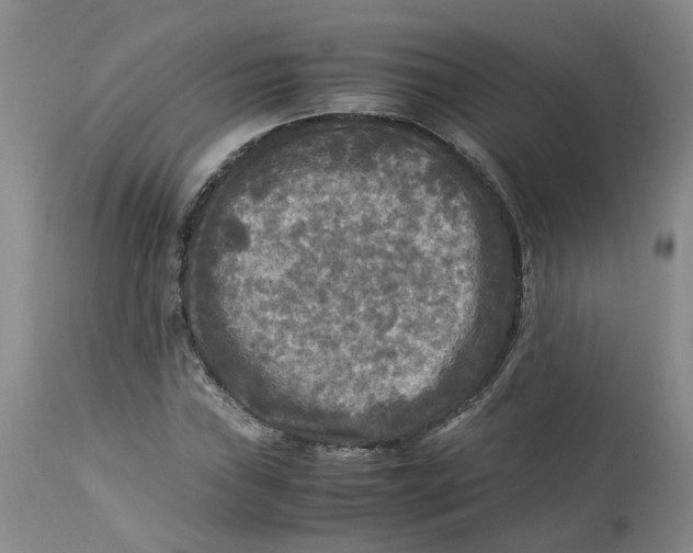 X0000113221019200910011339