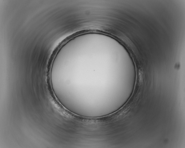 X0000113221020200910011339