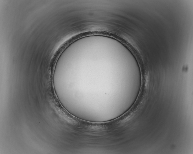 X0000113221021200910011339