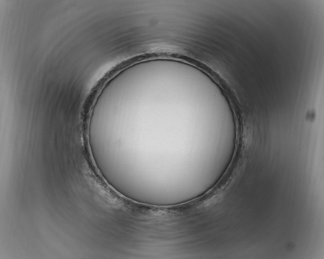 X0000113221022200910011339