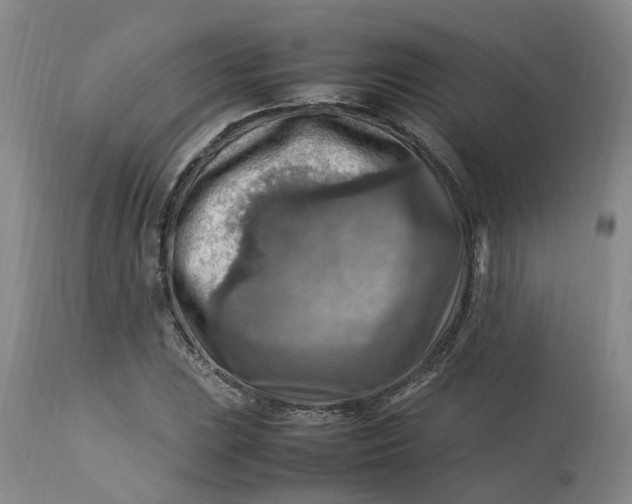 X0000113221023200910011339