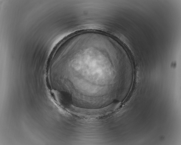 X0000113221024200910011340