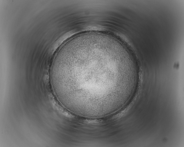 X0000113221025200910011340