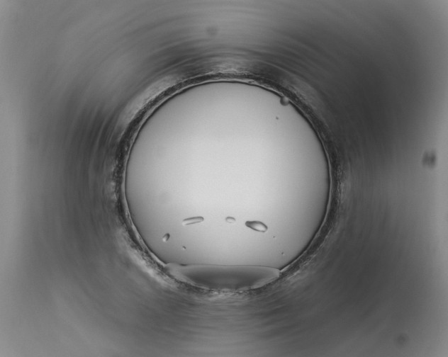 X0000113221026200910011340