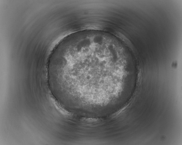 X0000113221027200910011340