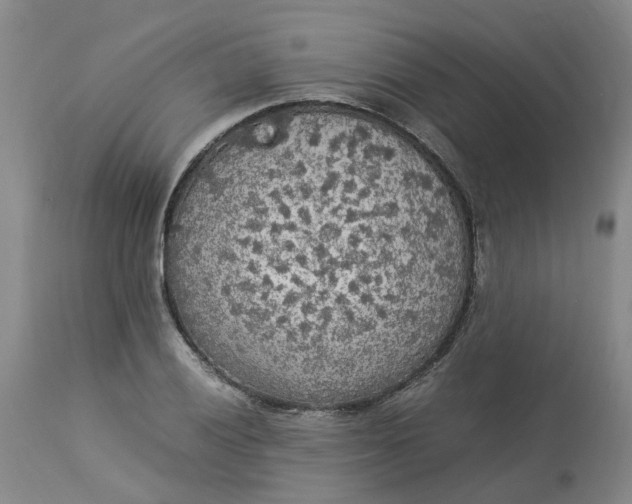 X0000113221028200910011340