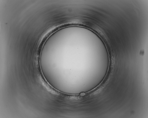 X0000113221029200910011340