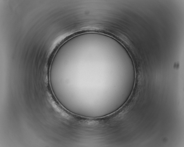 X0000113221030200910011340