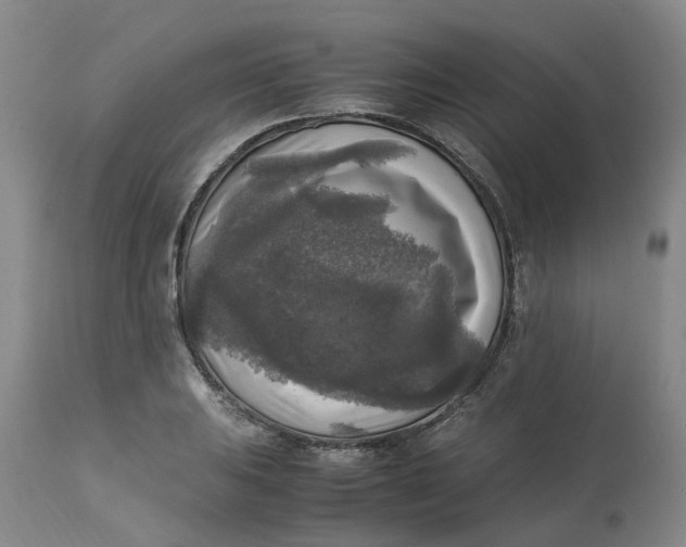 X0000113221031200910011340