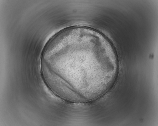 X0000113221032200910011340