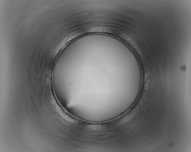 X0000113221033200910011340