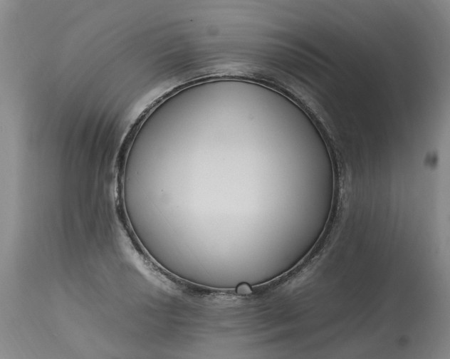 X0000113221034200910011340