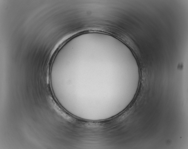 X0000113221036200910011340