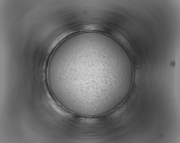 X0000113221039200910011340