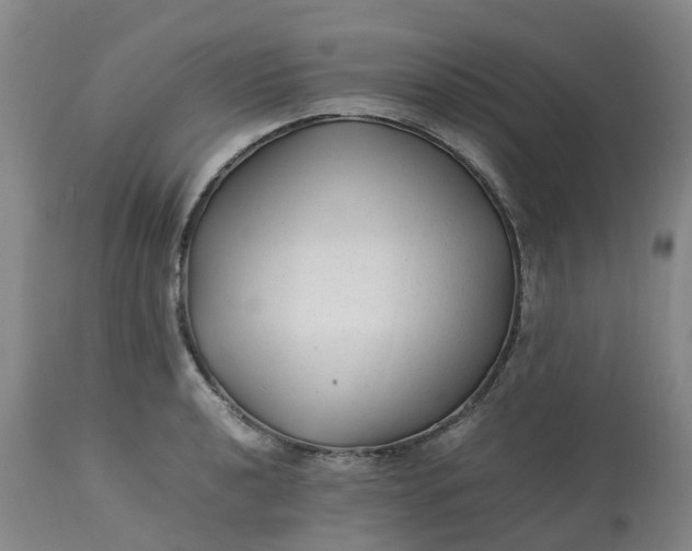 X0000113221040200910011340