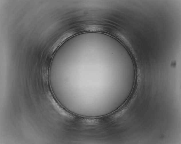 X0000113221041200910011340